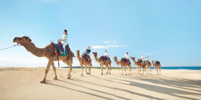 new south wales